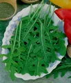 Rauke Rucola Wildform Samen mehrjährig – Natürliches Wachstum und Geschmack