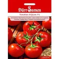 Dürr Samen Tomaten Diplom F1 Saatgut