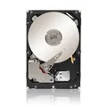 Lenovo - 00MJ141 - Festplatte - 300 GB - 2.5" (6.4 cm)