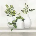 EUROART Wandbild 55 x cm Plant Life II Holz Grün