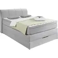 Boxspringbett BX 1440 - Grau