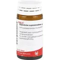 Glandulae Suprarenali Comp 20 G