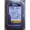 Western Digital WD2502ABYS 250GB SATA2  3,5"
