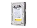 Western Digital RE3 Enterprise 250GB Interne 3.5" 7200RPM HDD (WD2502ABYS)