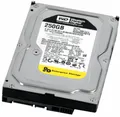 FESTPLATTE Western Digital WD2502ABYS 250GB 7200U/min 16MB SATA 3.5"
