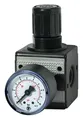 Riegler D-Regler multifix / G 1/4 BG1 / 0,5-10 bar / Manometer - 100417