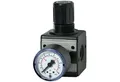 RIEGLER Druckluftschlauch Riegler Druckregler multifix inkl. Manometer BG 1 G 1/4 0,5 - 10 ...