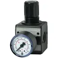 Riegler Druckregler multifix inkl. Manometer BG 1 G 1/4 0,5 - 10 bar - 100417