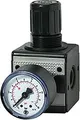 Riegler D Regler multifix / G 1/4 BG1 0 5 bis 10 bar Manometer
