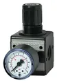 Riegler D-Regler multifix / G 1/4 BG1 / 0,5-10 bar / Manometer - 100417