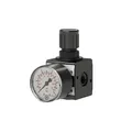 RIEGLER 100417 Druckregler MULTIFIX Gewinde mm 11,89 BG I G 1/4 '' 0,5 - 10 bar