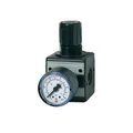 Riegler Druckregler MULTIFIX Gew.mm 11,89 BG I G 1/4 Zoll 0,5-10bar 2100l/min