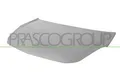 COFANO CORSA D - Mod. 05/06 - 01/11