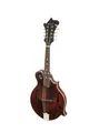 EASTMAN MD315