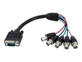 StarTech.com 30cm VGA HD 15 auf 5x BNC RGBHV Monitorkabel - St/Bu - VGA-Kabel - BNC (W)