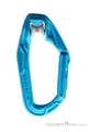 Edelrid Axiom Schnappkarabiner-Türkis-One Size