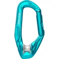 Axiom - Karabiner mit Seilrolle icemint