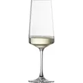 Schott Zwiesel Champagnerglas Echo, Transparent, Glas, 395 ml, 7.4x22.9 cm, Grüner Punkt, nachhaltig, Essen & Trinken, Gläser, Champagner- & Sektgläser