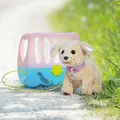 Zapf 835869 BABY born Mein Hund Lucky mit Box NEUHEIT 2024 OVP+