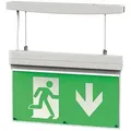 Dotlux LED-Rettungsleuchte EXITmulti, 2W, 6000K - 350 x 40 x 240 mm