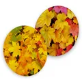 itenga 40x Bierdeckel rund Untersetzer Herbst Blätter Gelb Orange Rot 10,7 cm