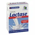 Avitale Lactase 28.000 FCC-Tabletten im Spender macht Milchprodukte bekömmlicher