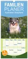 Familienplaner 2025 - Australian Shepherd mit 5 Spalten (Wandkalender, 21 cm x 45 cm), CALVENDO