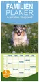 Familienplaner 2025 - Australian Shepherd mit 5 Spalten (Wandkalender, 21 x...