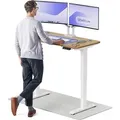 Desktronic HomePro Elektrisch höhenverstellbarer Schreibtisch 120x60cm Massive Eiche/Weißmit Memory-Funktion, Anti-Kollisions Technologie, USB-A ... - Weiß