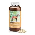 tierlieb Biotin-Tabletten für Pferde 500 Tabletten - 373 g