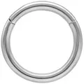 Wildcat Nasenpiercing Hinged Ring für Ohr, Lippe, Nase, Bauchnabel, 1 Stück, Titan Grad 23 - wasserfest, hautverträglich, Silber silberfarben Stärke: 1,6mm-Durchmesser: 10,0mm