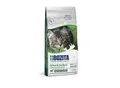 BOZITA Active & Sterilised Lamm 2 kg