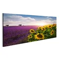 Bild Bilder auf Leinwand Lavendel und Sonnenblumen Felder, Provence Wandbild, Poster, Leinwandbild NTG