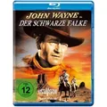 Der schwarze Falke