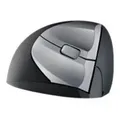 Minicute EZMouse - Maus - optisch - 3 Tasten - kabellos - 2.4 GHz - kabelloser Empfänger (USB)
