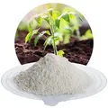 Zeolith-100 0-50 μm - 10 kg Sack
