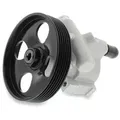 NTY Hydraulikpumpe RENAULT,NISSAN SPW-RE-018 491107211R,7701470783,4912500Q0E 4912500QAA
