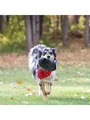 KONG Dog Toy Extreme Flyer Frisbee 25cm