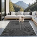the carpet Santo Plus Outdoor Teppich – Wetterfest & Pflegeleicht, Balkon Teppich, Terrasse & Garten, Flachgewebe Indoor & Outdoor, Modern für Wohnzimmer & Schlafzimmer, Anthrazit, 160 x 220 cm