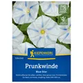 Blumensamen, Prunkwinde 'Blue Star', blau