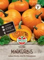SPERLI Kürbissamen Baby Bear Cucurbita pepo 8 Pflanzen