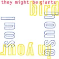 y Might Be Giants - Birdhouse In Your Soul - Used Vinyl Record 7 - E34z