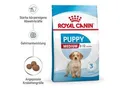 ROYAL CANIN Medium Puppy 10 kg