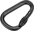 AUSTRIALPIN HMS Rondo Screwgate Karabiner schwarz