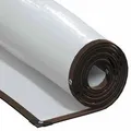 vidaXL Transparente Plane mit Ösen 5x5 m Polyethylen 4018568