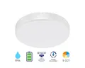 Braytron LED Deckenleuchte mit Notlicht Bewegungsmelder Farbwahl 5CCT Notfunktion Tester, LED fest integriert, Neutralweiß, Kaltweiß, Warmweiß, Tageslichtweiß, Akku Betrieb bei Stromausfall, 5CCT, Bewegungsmelder