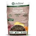 AniForte Lamm Trockenfutter für Hunde 12,5kg – Herzhaftes Lamm mit Süßkartoffeln, Halbfeuchtes Trockenfutter getreidefrei & glutenfrei, Hundef...