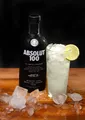 Absolut Vodka 100 Premium Wodka + 6 Gläser NEU OVP 50% Luxus Top