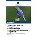 Türkisches Bild Aus Verschiedenen Blickwinkeln In Verschiedenen Bereichen Aufgebaut von Emel Aksoy / Verlag Unser Wissen / Taschenbuch