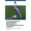 Unser Wissen Türkisches Bild Aus Verschiedenen Blickwinkeln In Verschiedenen Bereichen Aufgebaut (Deutsch, Emel AKSOY, 2023) (51514740)